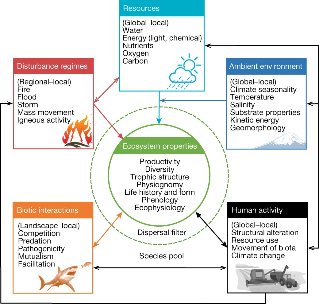 Ecotypology