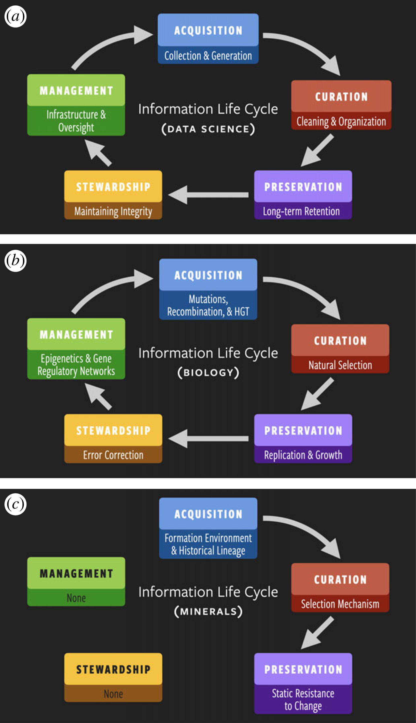 Information life cycles