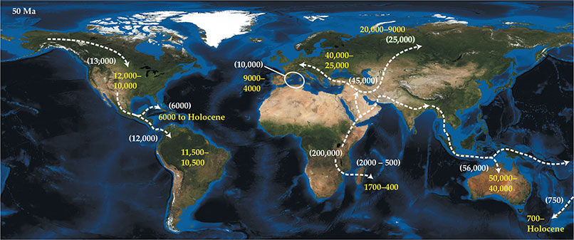 Megafauna Extinctions