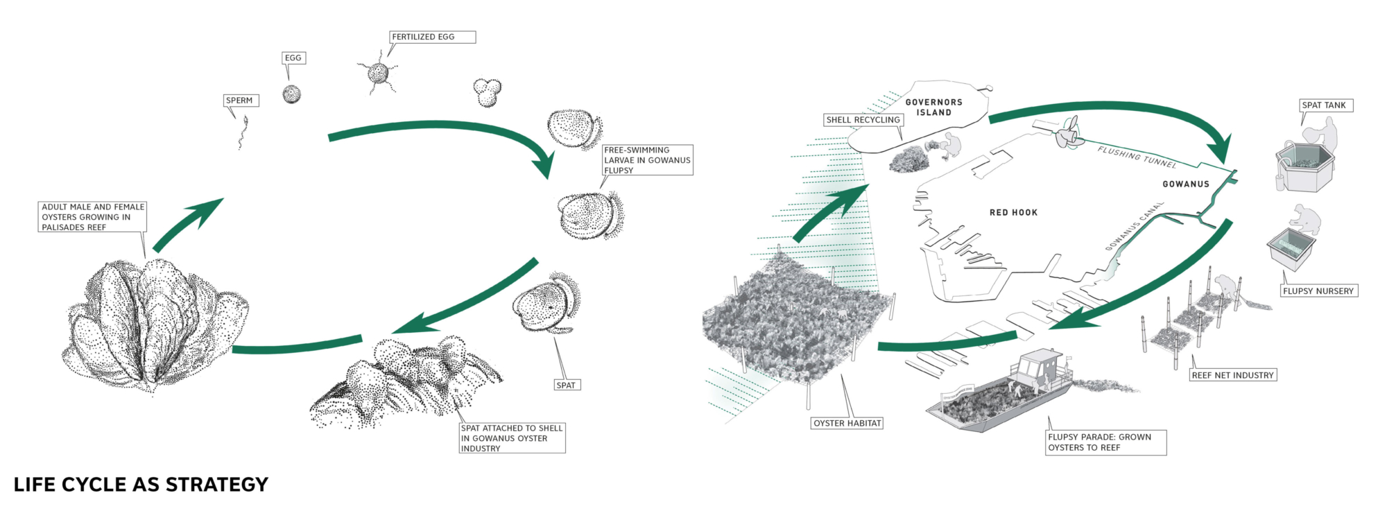 oyster-tecture