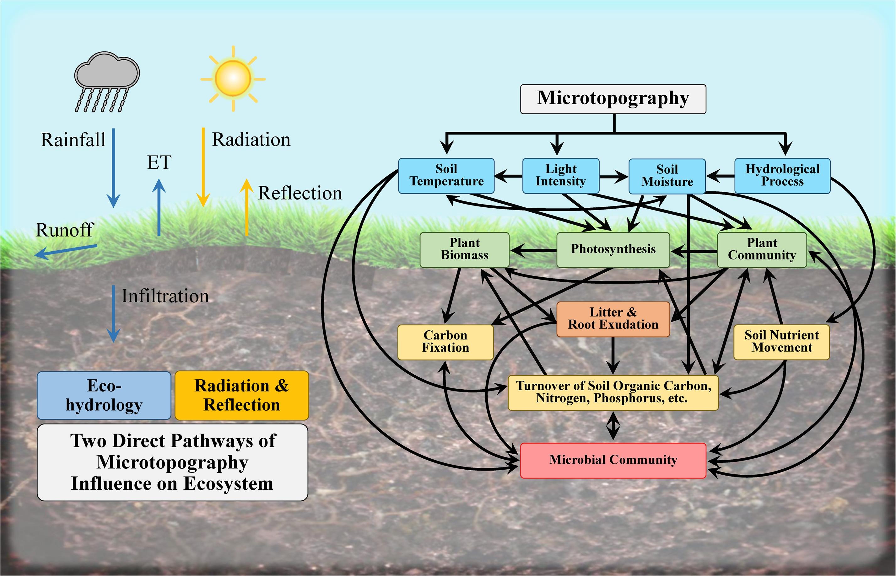 Microtopography