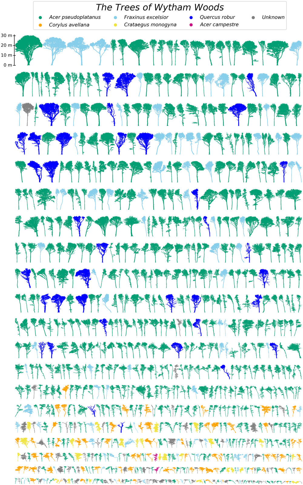 Tree layout population